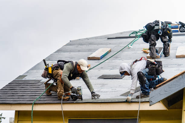 Professional Gutter Installation technician working in Princeton, IA